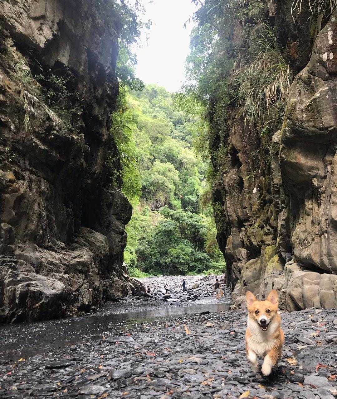 南投武界｜武界一線天