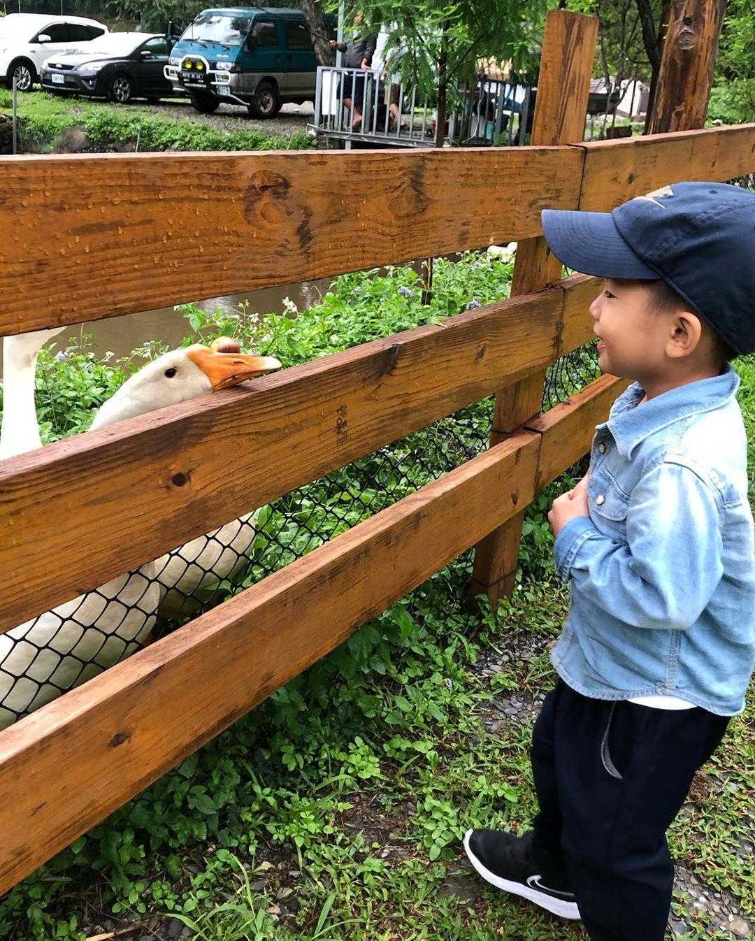 南投武界｜武界松露露營區&小木屋