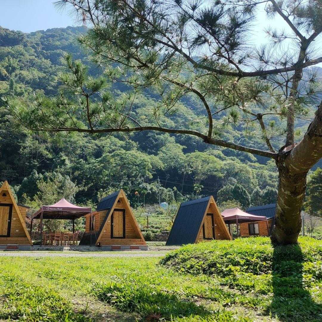 南投武界｜武界松露露營區&小木屋