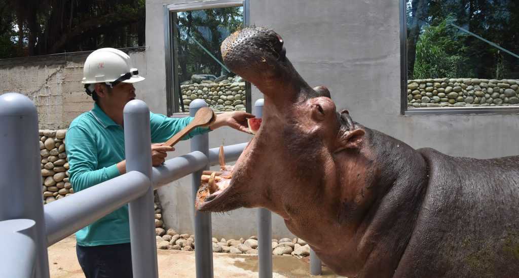 ,新竹動物園,新竹市立動物園, 新竹動物園門票, 新竹市動物園, 動物園新竹, 新竹動物園交通, 新竹動物園線上預約, 新竹市立動物園門票, 新竹動物園票價, 新竹動物園地圖, 新竹動物園營業時間, 新竹動物園評價, 新竹市立動物園票價, 新竹動物園動物, 新竹動物園介紹, 新竹動物園地址, 新竹市立動物園相片, 新竹市東區食品路新竹市立動物園, 新竹市立動物園hsinchuzoo, 新竹動物園寵物, 新竹野生動物園, 新竹市動物園門票, 新竹頑皮世界, 新竹動物園時間, 新竹動物園預約, 新竹動物園免費, 新竹動物園過年, 新竹動物園紀念品, 新竹的動物園, 新竹市立動物園交通, 新竹市動物園票價, 新竹動物園活動, 新竹動物園開放時間, 新竹市立動物園營業時間, 新竹動物園綠世界, 新竹動物園推車租借, 新竹動物園門票優惠, 新竹市市立動物園, 新竹市立動物, 新竹動動園, 新竹動物園門票價格, 新竹動物園兒童節, 新竹動物園門票價錢, 新竹動物園優惠, 新竹動物園收費, 新竹動物園春節, 新竹動物園價錢, 新竹動物園夏令營, 新竹動物園的門票, 新竹紀念品店,