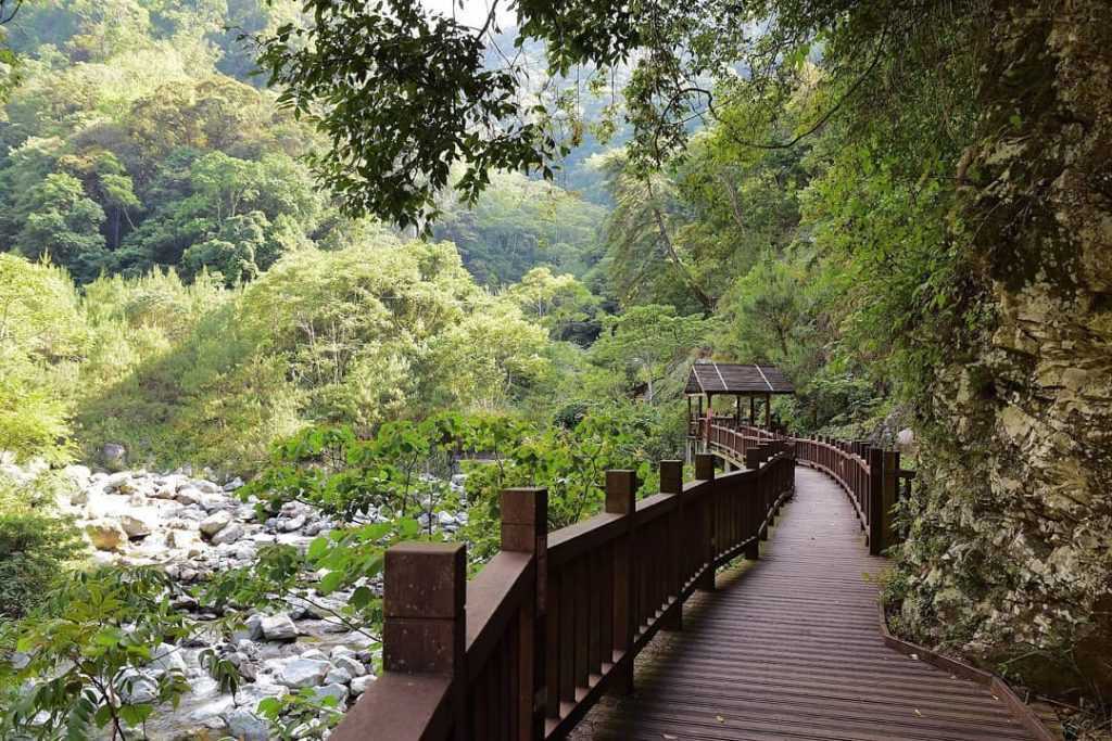 八仙山步道 健行燈山 森林遊樂區路線