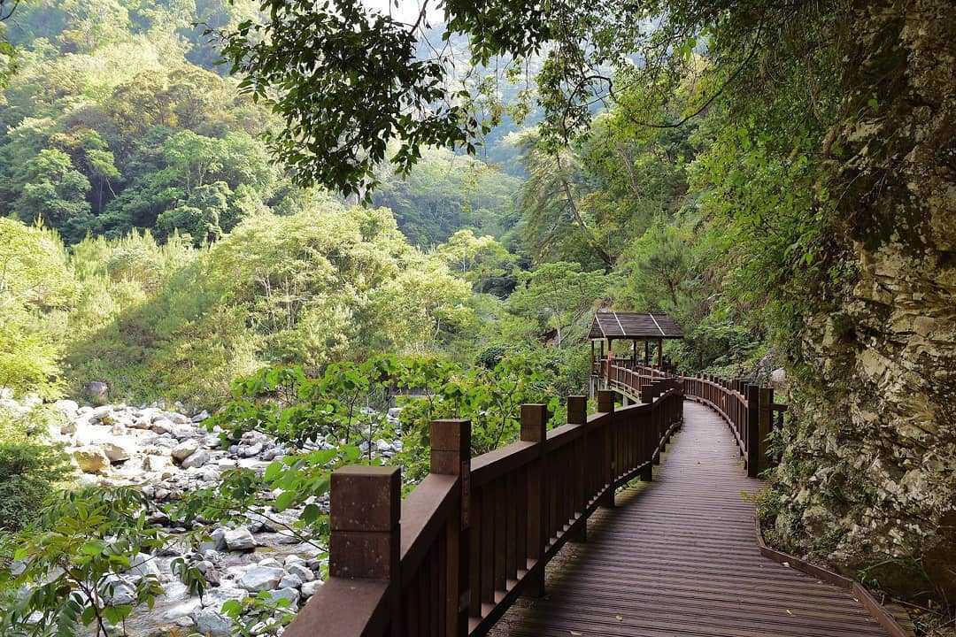 八仙山健康步道 八仙山步道 健行燈山 森林遊樂區路線
