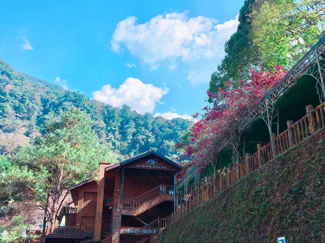 八仙山國家森林遊樂區景觀 八仙山步道 八仙山健行 台中八仙山 八仙山國家森林遊樂區 八仙山爬山