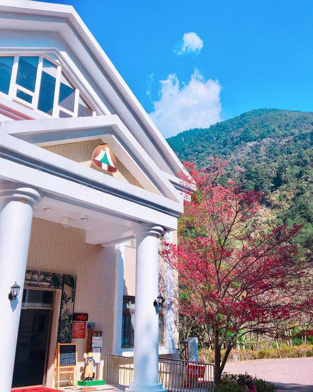 八仙山遊客中心 八仙山國家森林遊樂區