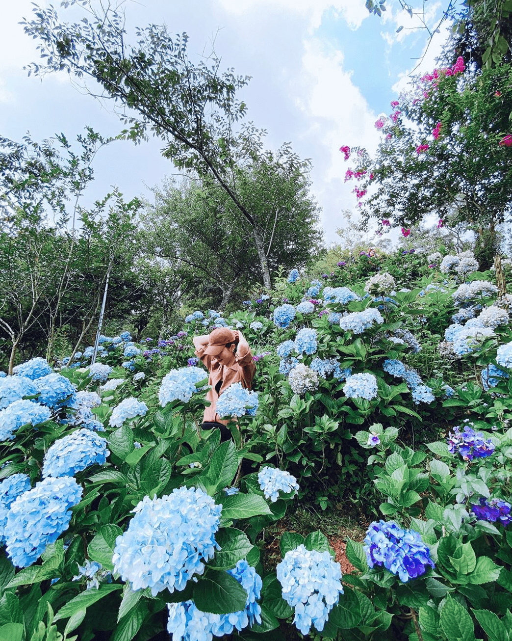 南庄景觀餐廳 杉林松境休閒農場