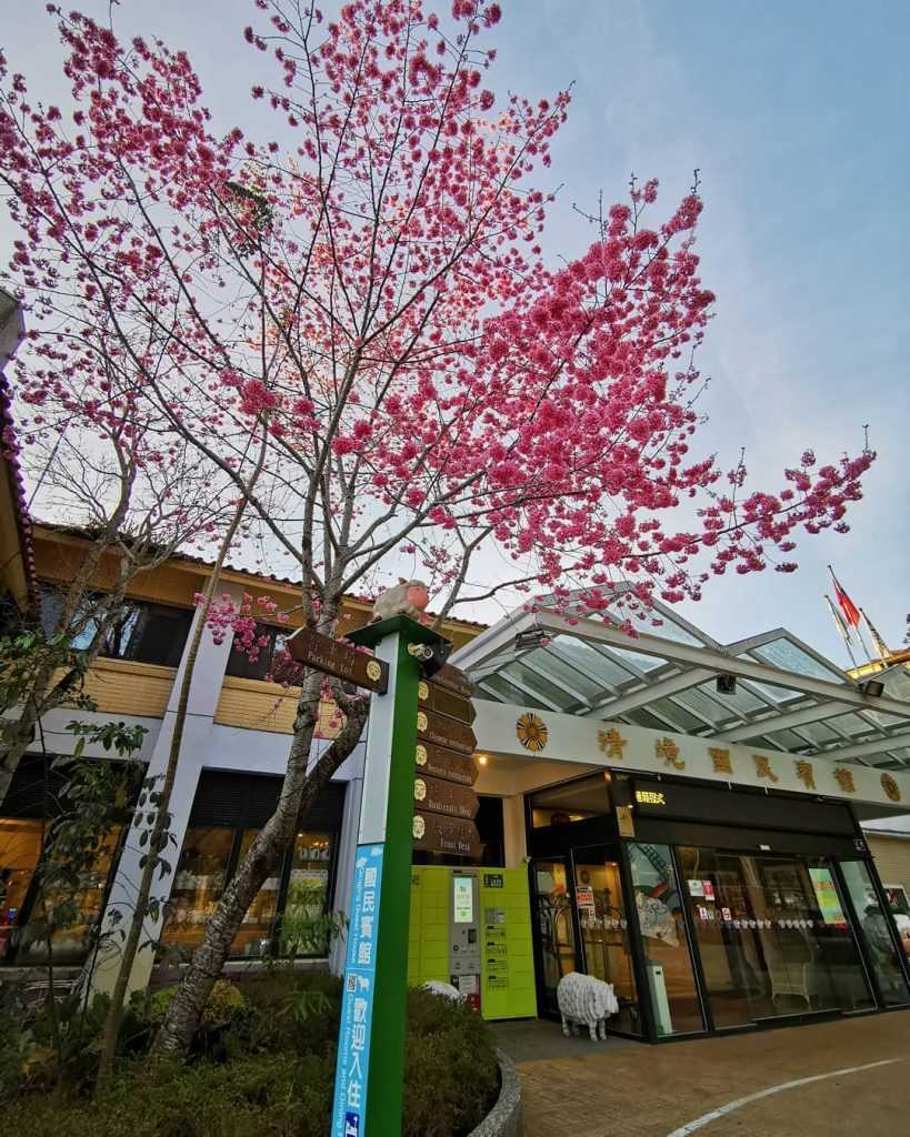 清境住宿 2023清境住宿|推薦16間清境周邊超仙氣住宿、歐式莊園城堡、高CP值景觀民宿 清境住宿 2023 清境住宿 2023清境住宿|推薦16間清境周邊超仙氣住宿、歐式莊園城堡、高CP值景觀民宿 23 2023