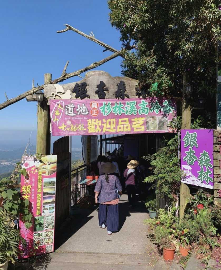 溪頭美食︱來溪頭吃什麼?推薦 4 間到溪頭必吃的美食餐廳 2023 溪頭美食︱來溪頭吃什麼?推薦 4 間到溪頭必吃的美食餐廳 1 2023