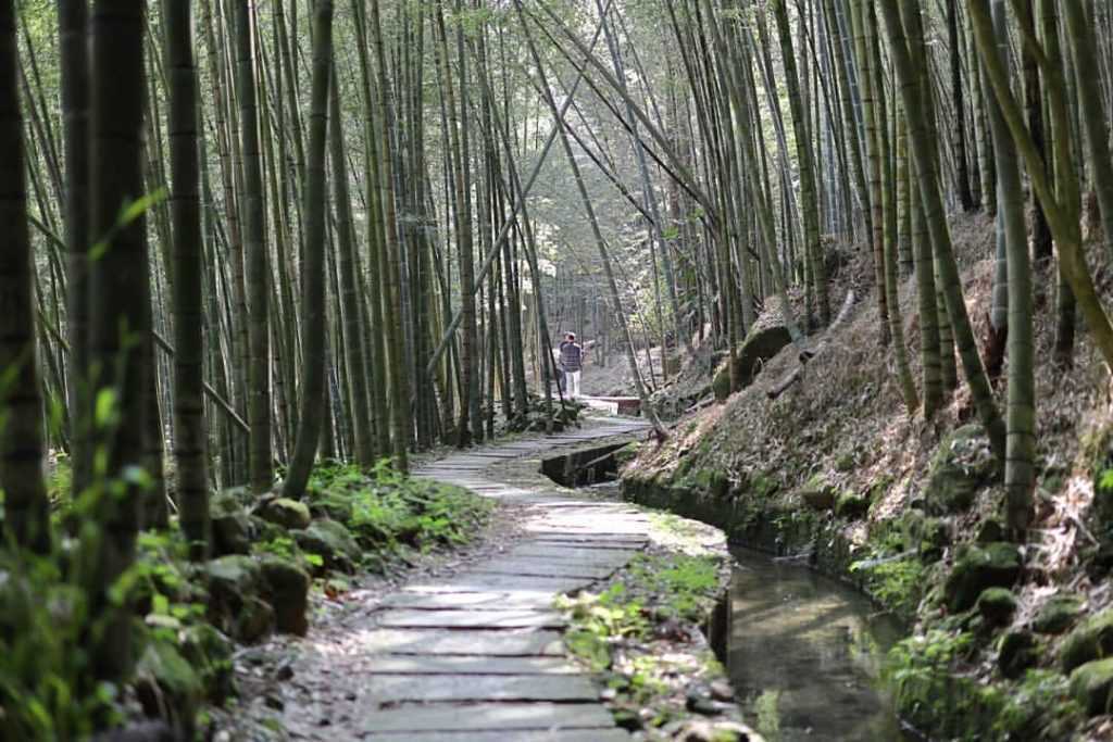 南投鹿谷小半天 南投鹿谷小半天