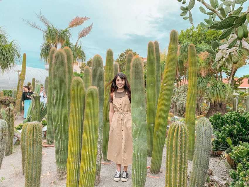 彰化打卡景點 |#6 生源仙人掌 彰化打卡景點 |#6 生源仙人掌