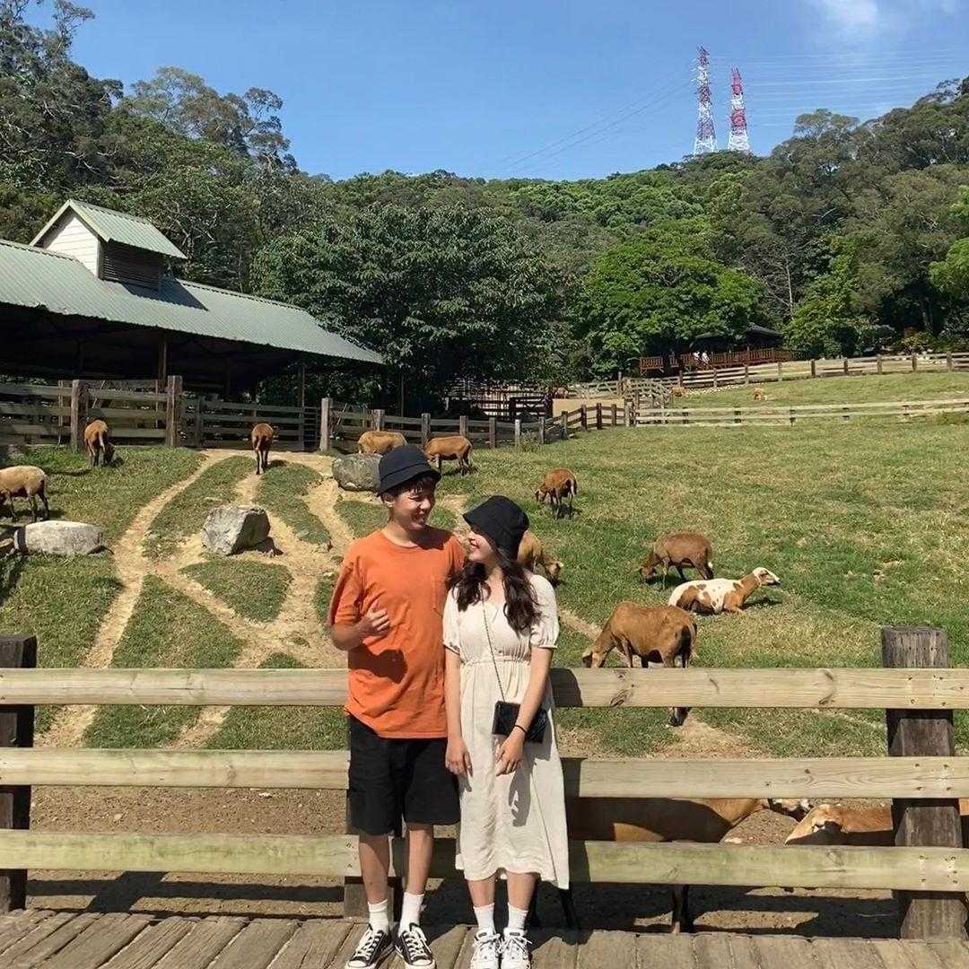 苗栗飛牛牧場怎麼玩 門票優惠 農莊體驗 住宿推薦攻略一篇搞定 好好玩台灣2021