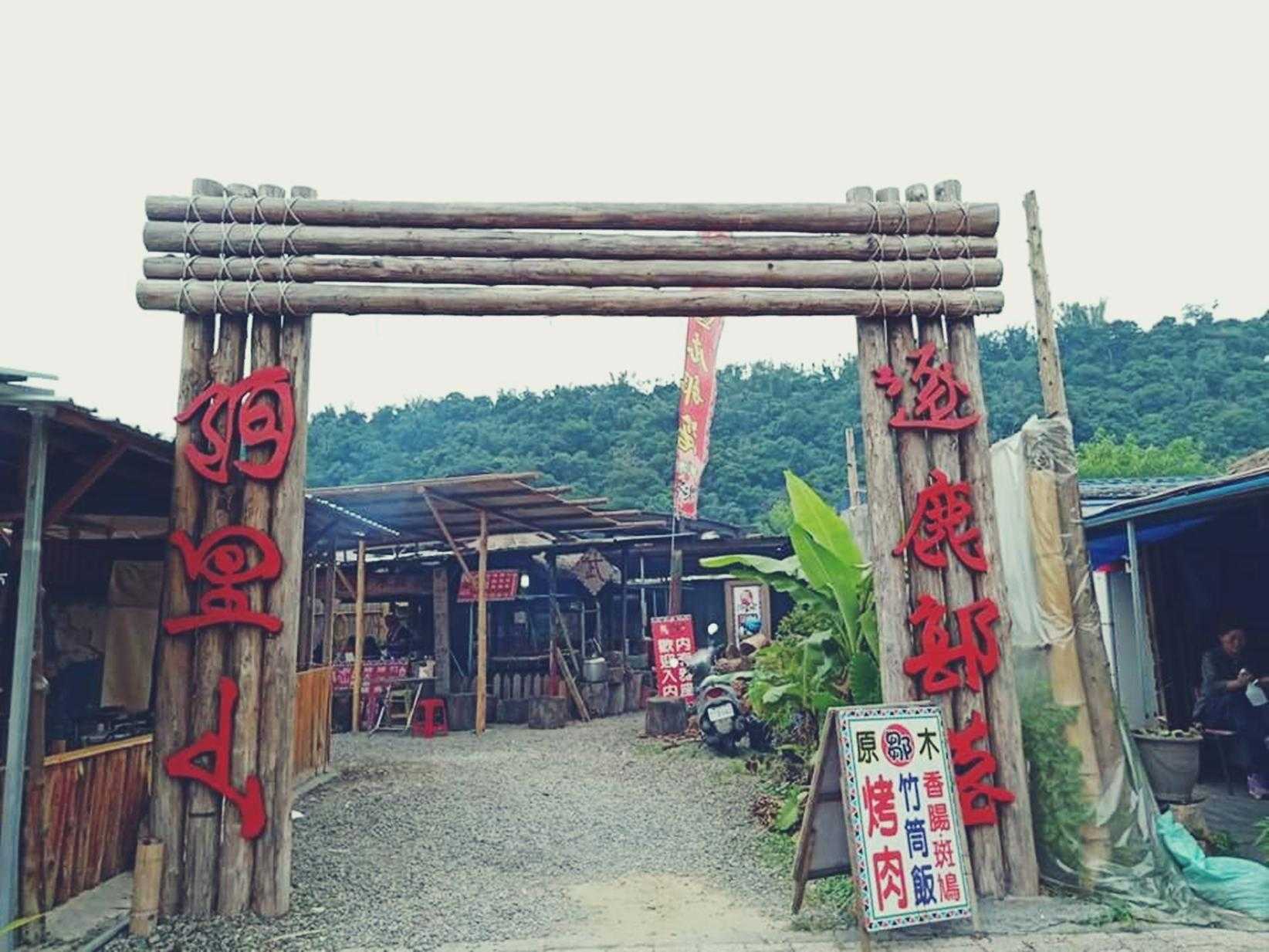 阿里山特色體驗 梅花鹿餵食體驗