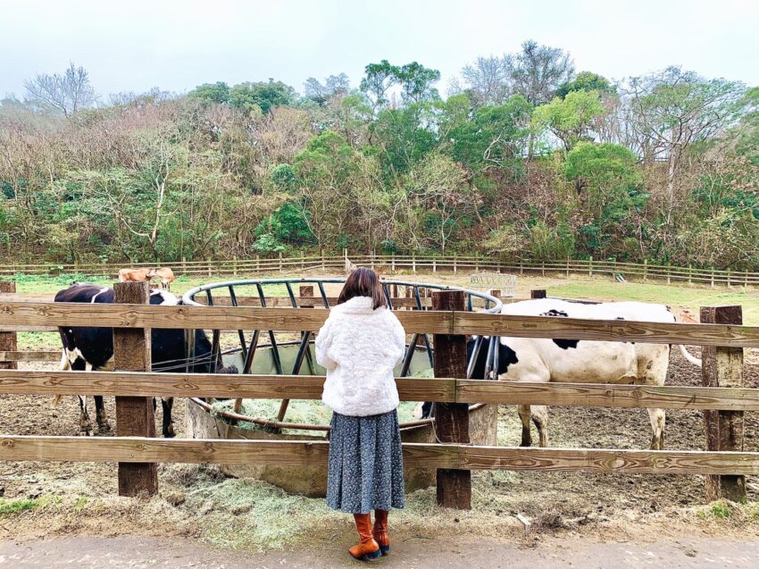 飛牛牧場 苗栗飛牛牧場怎麼玩? 門票優惠、農莊體驗、住宿推薦攻略一篇搞定! 飛牛牧場 2023 飛牛牧場 苗栗飛牛牧場怎麼玩? 門票優惠、農莊體驗、住宿推薦攻略一篇搞定! 2 2023