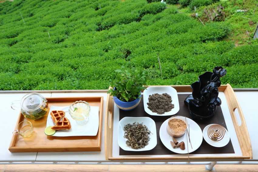 阿里山黃頭鷺季| 賞鳥時間、地點,周邊美食、景點懶人包 阿里山黃頭鷺季| 賞鳥時間、地點,周邊美食、景點懶人包