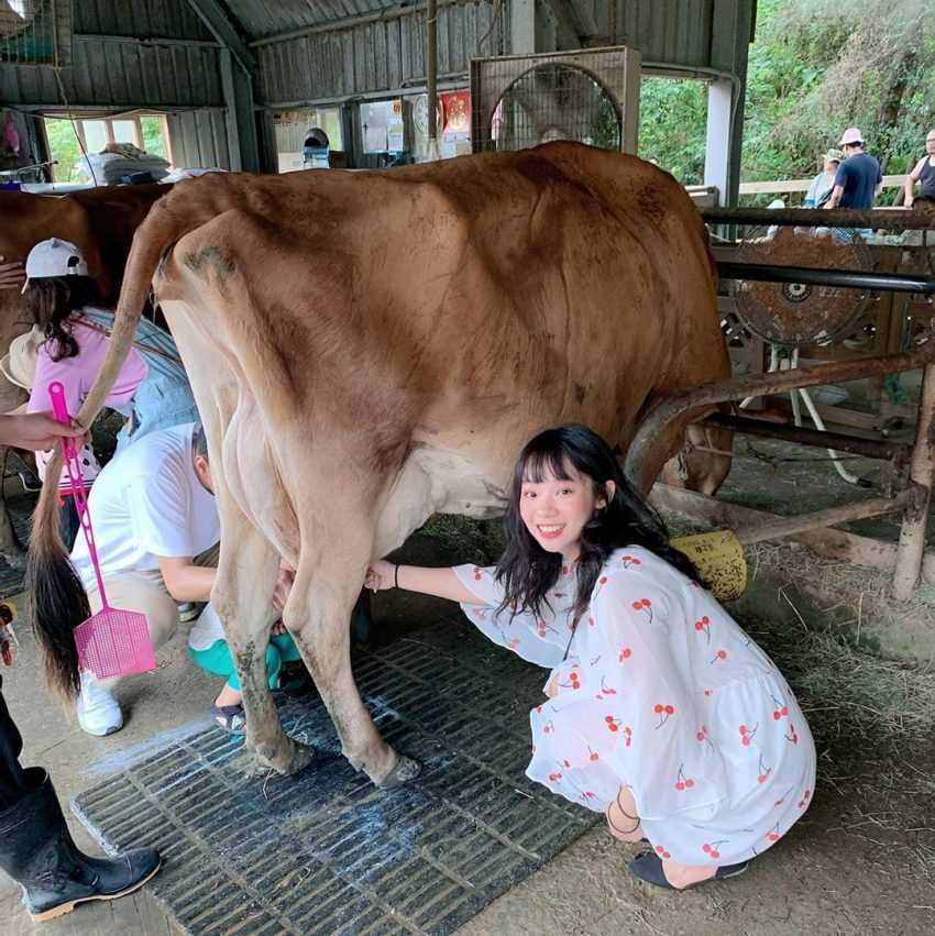 【飛牛牧場】苗栗通霄好玩的親子景點,門票優惠、園區介紹、住宿推薦懶人包 【飛牛牧場】苗栗通霄好玩的親子景點,門票優惠、園區介紹、住宿推薦懶人包