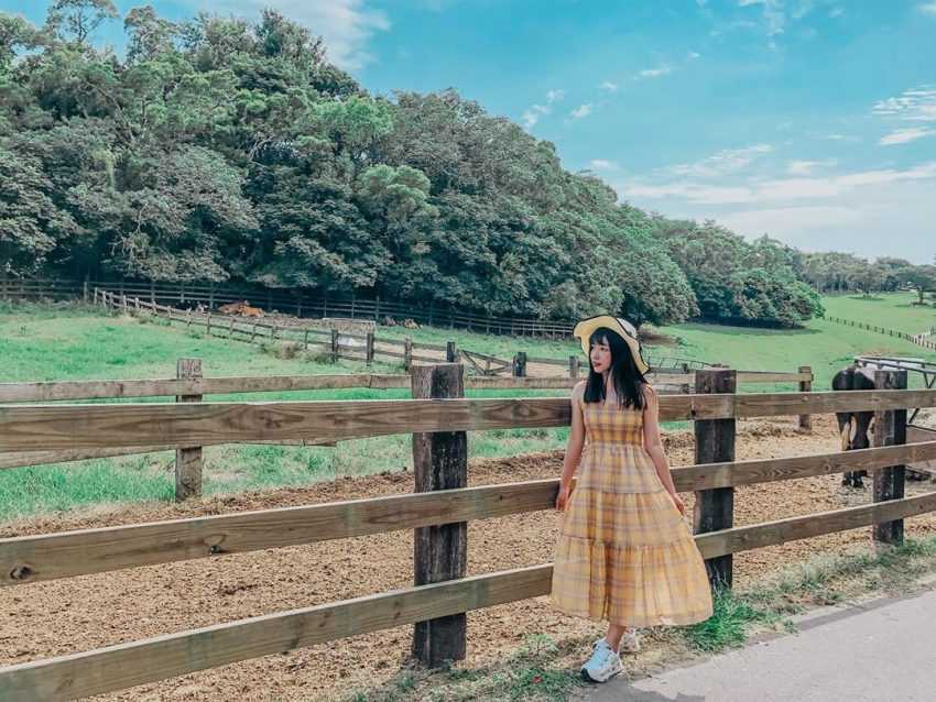 【飛牛牧場】苗栗通霄好玩的親子景點,門票優惠、園區介紹、住宿推薦懶人包 【飛牛牧場】苗栗通霄好玩的親子景點,門票優惠、園區介紹、住宿推薦懶人包