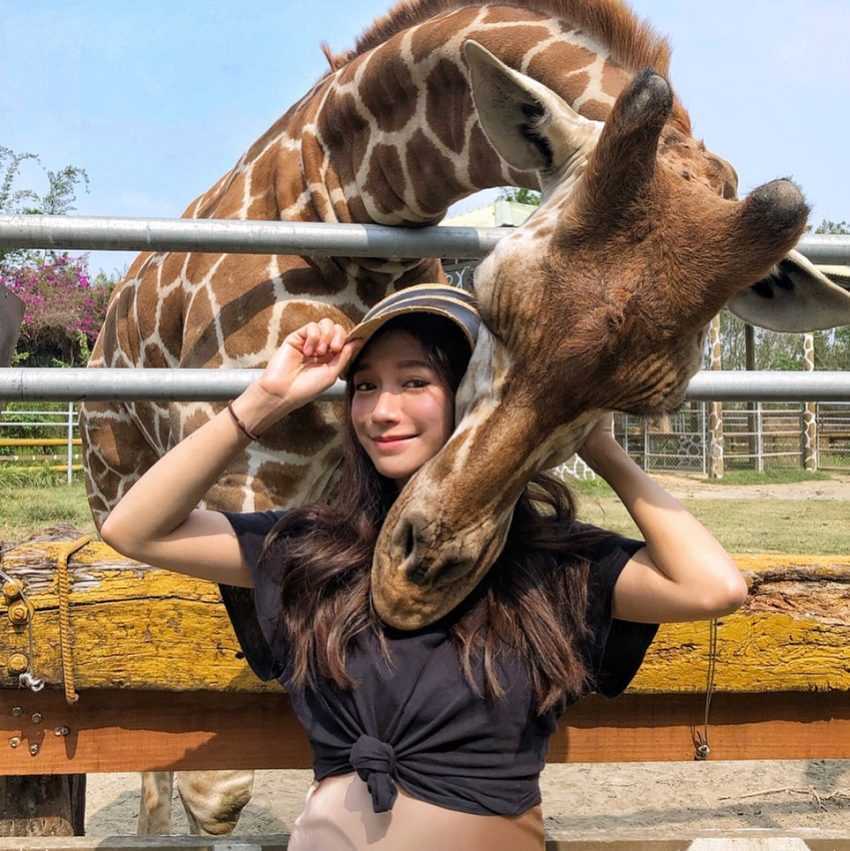 頑皮世界野生動物園