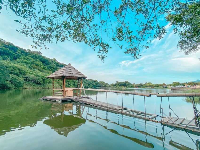 桃園大溪｜富田花園農場｜體驗被草尼馬包圍，超多浪漫打卡點隨你拍 4 2024