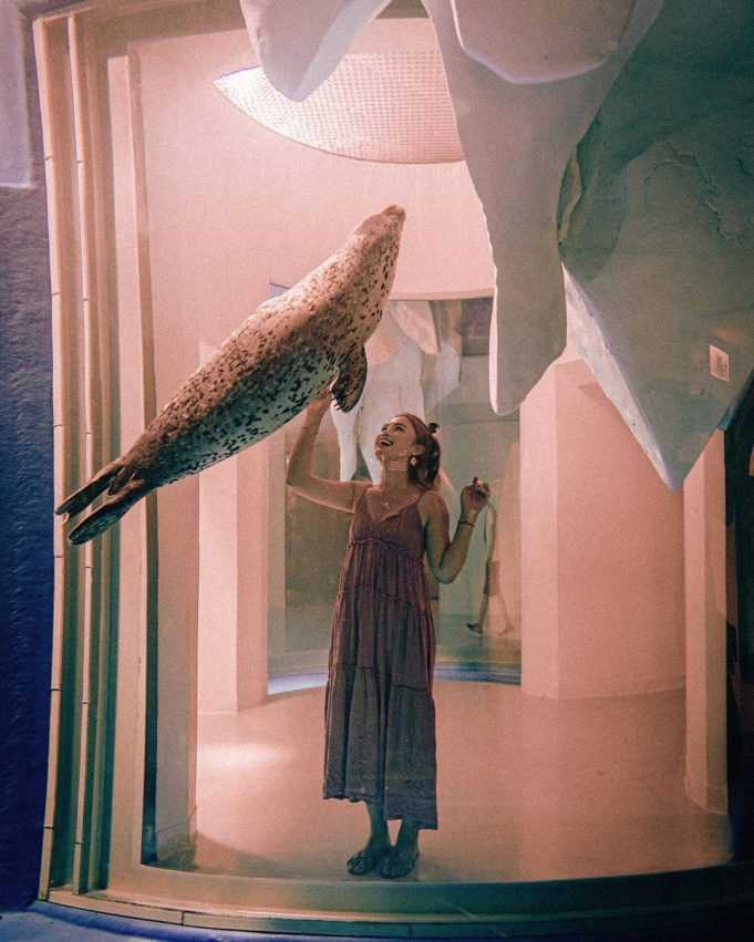 水族館 台灣水族館攻略|全台 5 座水族館你都去過嗎?從北到南、從東到離島,全民一起瘋水族館! 水族館 2023 台灣水族館、海洋館、海生館
