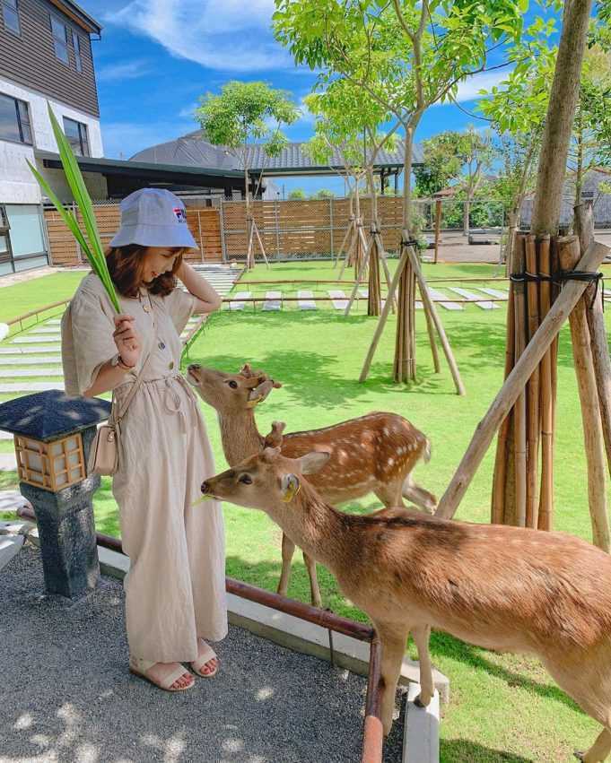 宜蘭過年走春景點推薦 三星鄉 張美阿嬤農場