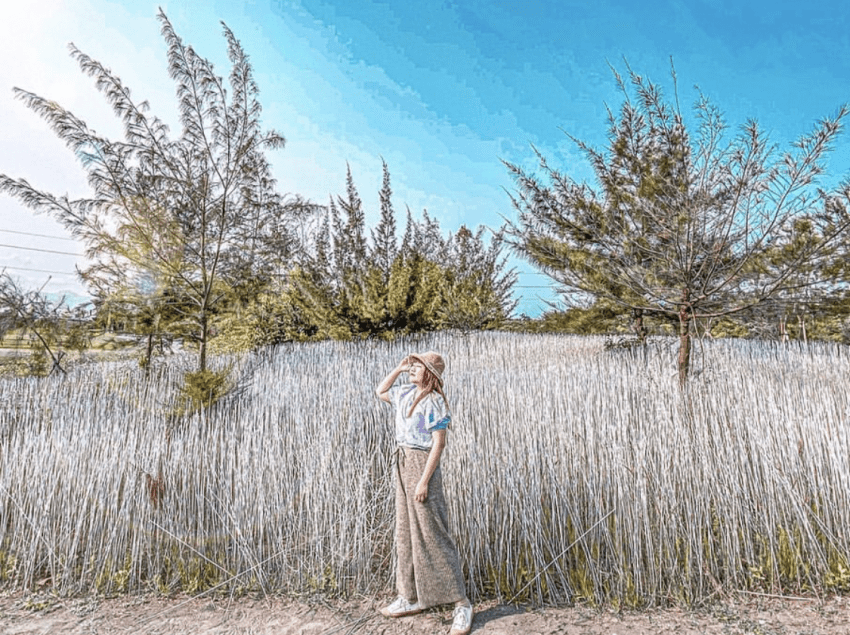 宜蘭景點｜壯圍沙丘旅遊服務園區周邊有壯圍海濱、自行車道、蘭陽溪口賞鳥保護區等特色美景，是一處賞景休憩的絕佳去處。