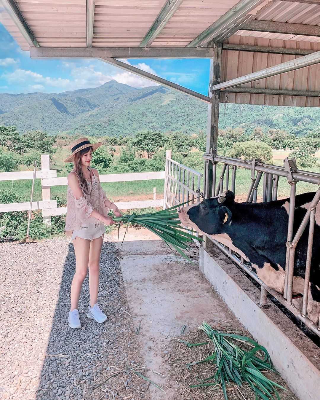 台東景點推薦｜#7 台東 初鹿牧場