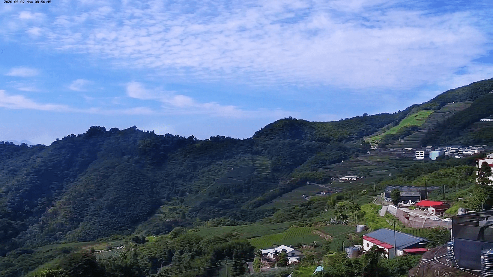 阿里山即時影像 生力農場