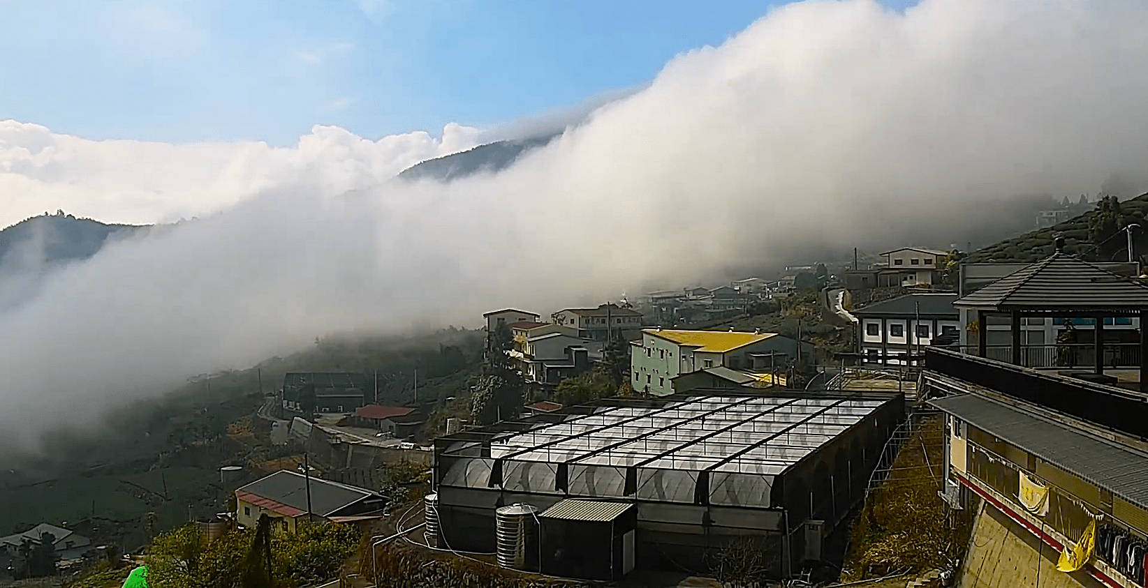 阿里山即時影像 生力農場