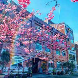 嘉義住宿 【2023阿里山住宿】推薦13間園區內住宿，阿里山看日出雲海、賞花、賞螢住哪裡報你知！ 6 2023
