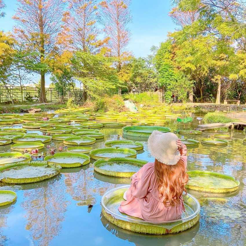 照片來源:IG @emilycute7bear 蓮荷園休閒農場
