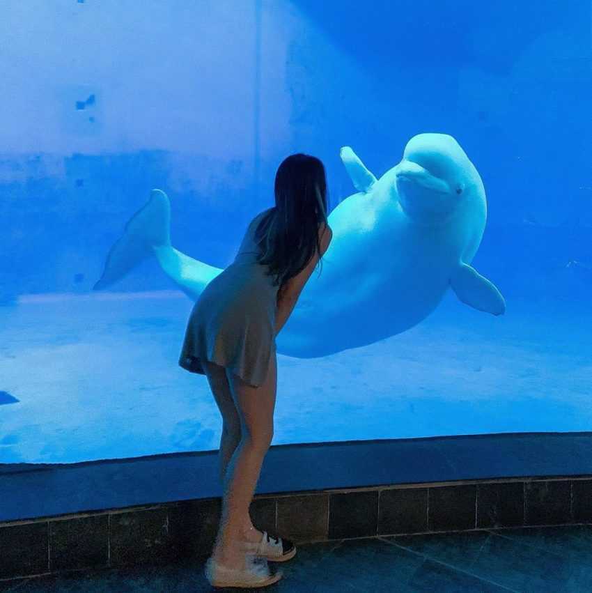 台灣水族館、海洋館、海生館 屏東海生館水族館, 桃園市中壢區春德路xpark, 北部水族館, 台灣水族館, 桃園青埔水族館, 台中三井水族館, 桃園水族館表演時間, 桃園水族館地址, 台中xpark, 台灣最大水族館, 魚田水族館, 藍海水族館, 熱帶魚水族館, 陽光空氣水族館, 全台水族館, 中部水族館, 南部水族館, 東部水族館, 快樂水族館, 桃園xpark一日遊, 雷迪森酒店水族館, 水族館台灣, 桃園水族館一日遊, xpark門票優惠2021, 七彩世界水族館, 新竹xpark, 周天央水族館, 大洲水族館, xpark台中, cozzibluxpark, 珊瑚水族館, 桃園青埔xpark, 水母缸推薦, 桃園青埔xpark水族館, 桃園青埔xpark都會型水生公園門票, 線上水族館, 桃園海生館xpark, 水世界水族館, 海龍王水族館, 水母缸設計, 宏偉水族館, 如魚得水水族館, 桃園區水族館, 亞太水族館, xpark夜宿價格, 藍箱水族館, 鄉井水族館, xpark優惠門票, 景觀水族館, 桃園都會型水生公園, xpark夜宿kkday, 桃園水族館xpark附近美食, 仙鑽水族館, 水生館桃園, 台灣企鵝水族館, 瘋狂水族館, 春日水族館, 澎湖水族館相片, 北部水族館推薦, 桃園青埔xpark都會型水生公園, 桃園青埔海洋館, 賜海水族館, xpark水族館停車, 海世界水族館, 七彩水族館, 桃園水族館國旅券, 泉源水族館, 桃園xpark營業時間, 農業科技園區水族館, 桃園青埔海生館, 桃園景點水族館, 宏祥水族館, 珊瑚海水族館, 懶人水母療癒缸, 水族館水草, 水族館北部, 東森水族館, 北部最大水族館, 金鑫水族館, 澎湖水族館票券資訊, 台灣最大的水族館, 桃園一日遊xpark, 桃園水族館水母, 紅龍水族館, 桃園xpark都會型水生公園, 臺灣水族館, 水族館石頭, 北台灣水族館, 水寶水族館, 桃園青埔水族館門票, 金洋水族館, 北大水族館, 水精靈水族館, 草影水族館, 桃園xpark票價, 和逸飯店桃園館xpark, 桃園青埔水生公園, 狂熱水族館, 台灣水族館推薦, 桃園水生館門票, 台灣最大海洋館, 桃園xpark門票優惠, 澎湖水族館kkday, 桃園海洋博物館門票, 桃園xpark訂票, 桃園水族館介紹, 桃園華泰名品城水族館, 水草水族館, 桃園水族館過夜, 桃園海洋館xpark, 桃園青埔水生館, 水族館批發, 透明水族館, 桃園水族館紀念品, 桃園xpark地址, 桃園水族館場次, 桃園水族館表演, klook桃園水族館, 夜宿水族館屏東, 水族館殺菌燈, 家庭水族館, 水族館常見水草, 桃園新埔水族館, 珊瑚海水族館剛海企業有限公司, 北台灣海生館, 國旅券桃園水族館, 宏洋水族館, 西高地水族館, 台灣水族館住宿, 桃園水生, 澎湖水族館夜宿價格, 桃園水族住宿, 桃園市xpark, 桃園水族館優惠票, 桃園買一送一xpark, 桃園水族館地圖, 桃園水生公園門票, xpark都會型水生公園門票優惠, 桃園青埔都會型水生公園, 桃園海洋館票價, 水族館商品, xpark水族館學生票, 桃園水族世界, 桃園水族館套票, 海派珊瑚水族館, 桃園水生公園xpark, 桃園都會水族館, 桃園水族館的門票, 台灣桃園水族館, 海洋生物館桃園, xpark桃園門票, 桃園市青埔水族館, 桃園水族舘, 桃園水族館週邊景點, 美麗海水族館附近住宿, 桃園青埔xpark, 水族館攻略,