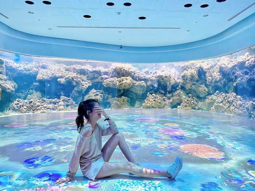 2023【Xpark桃園水族館】必看展區/門票優惠/交通及附近景點懶人包