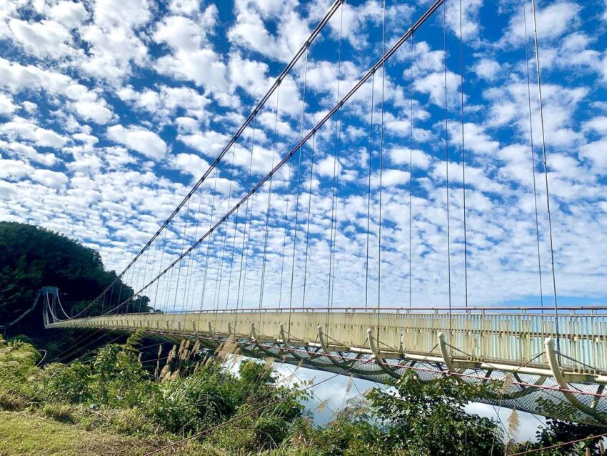 嘉義梅山一日遊 太平雲梯