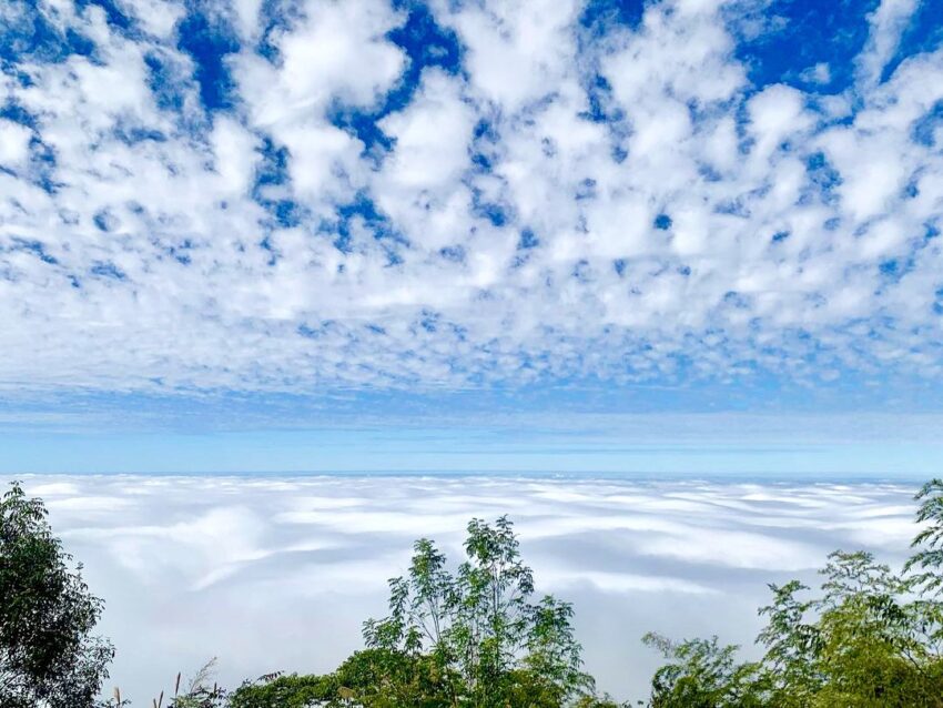 阿里山五奇 －雲海