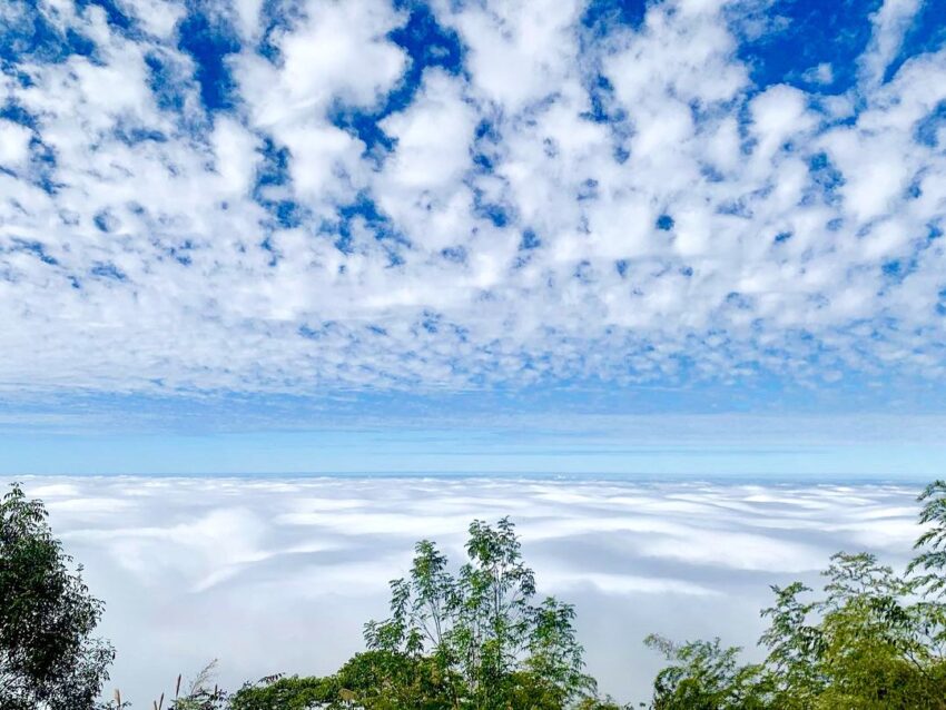 阿里山雲海 7個阿里山雲海景點推薦，秋冬看雲瀑眼底盡收 2 2024