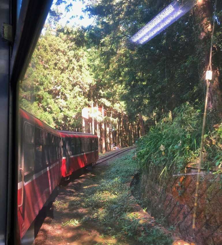 搭阿里山小火車一日遊怎麼玩？阿里山火車訂票教學、車票價格、10大必訪景點路線一次看！