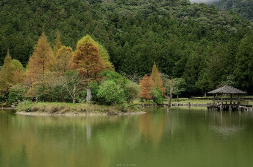 邊境解封開放 落羽松景點|網羅全台灣 10 大落羽松秘境森林、賞季期整理,快來一場浪漫的秋冬之旅吧! 邊境解封開放,入境,0+7 2022 落羽松