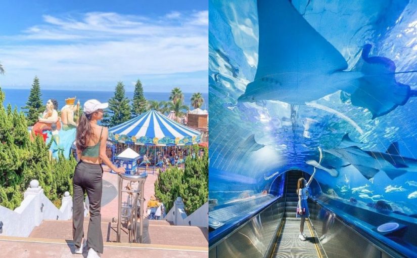 遠雄海洋公園 花蓮親子必玩推薦景點 海豚海獅表演 夜宿水族館 遊樂設施 門票優惠 交通攻略