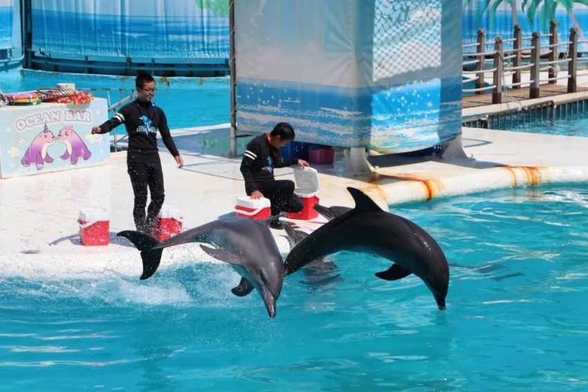 兒童節活動優惠｜清明連假親子旅遊景點、遊樂園、博物館優惠 50 2024