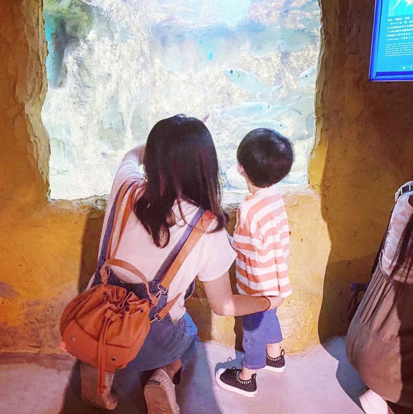 野柳海洋世界,野柳,海豚