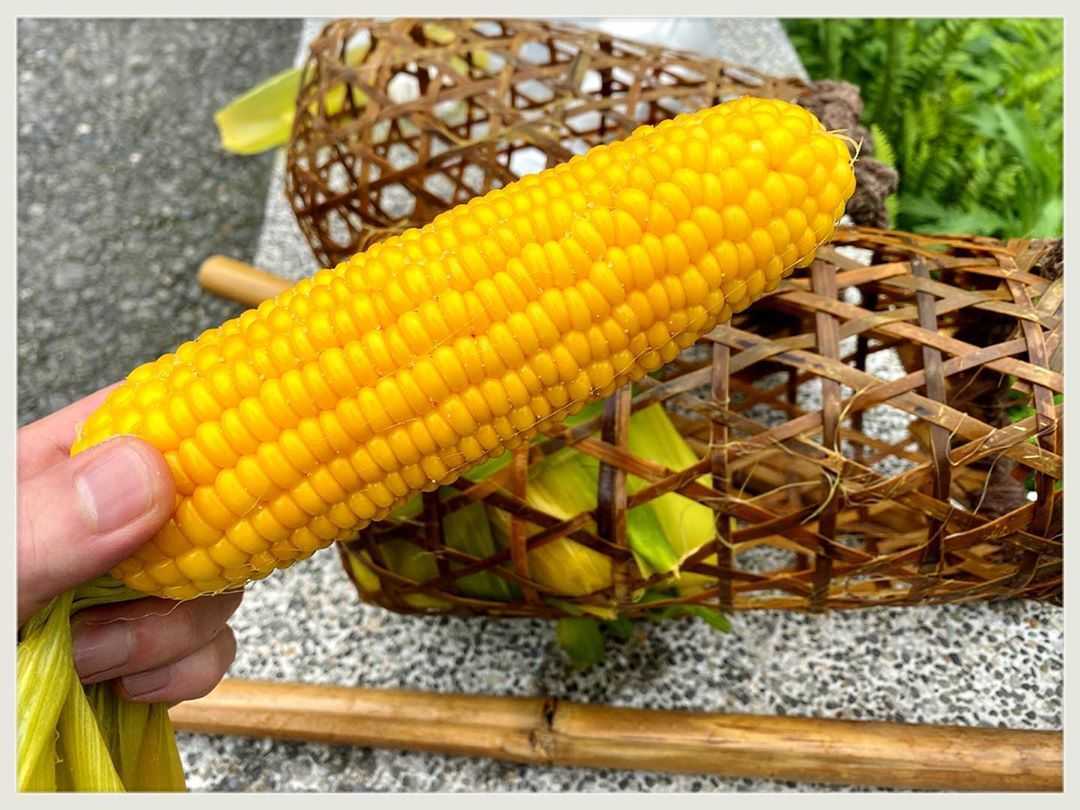 清水地熱 《 宜蘭鳩之澤溫泉 》太平山溫泉攻略!漫步太平山呼吸芬多精,煮溫泉蛋、泡湯金促咪,秋冬住宿輕旅行首選 清水地熱 2023 宜蘭鳩之澤溫泉 《 宜蘭鳩之澤溫泉 》太平山溫泉攻略!漫步太平山呼吸芬多精,煮溫泉蛋、泡湯金促咪,秋冬住宿輕旅行首選 5 2023