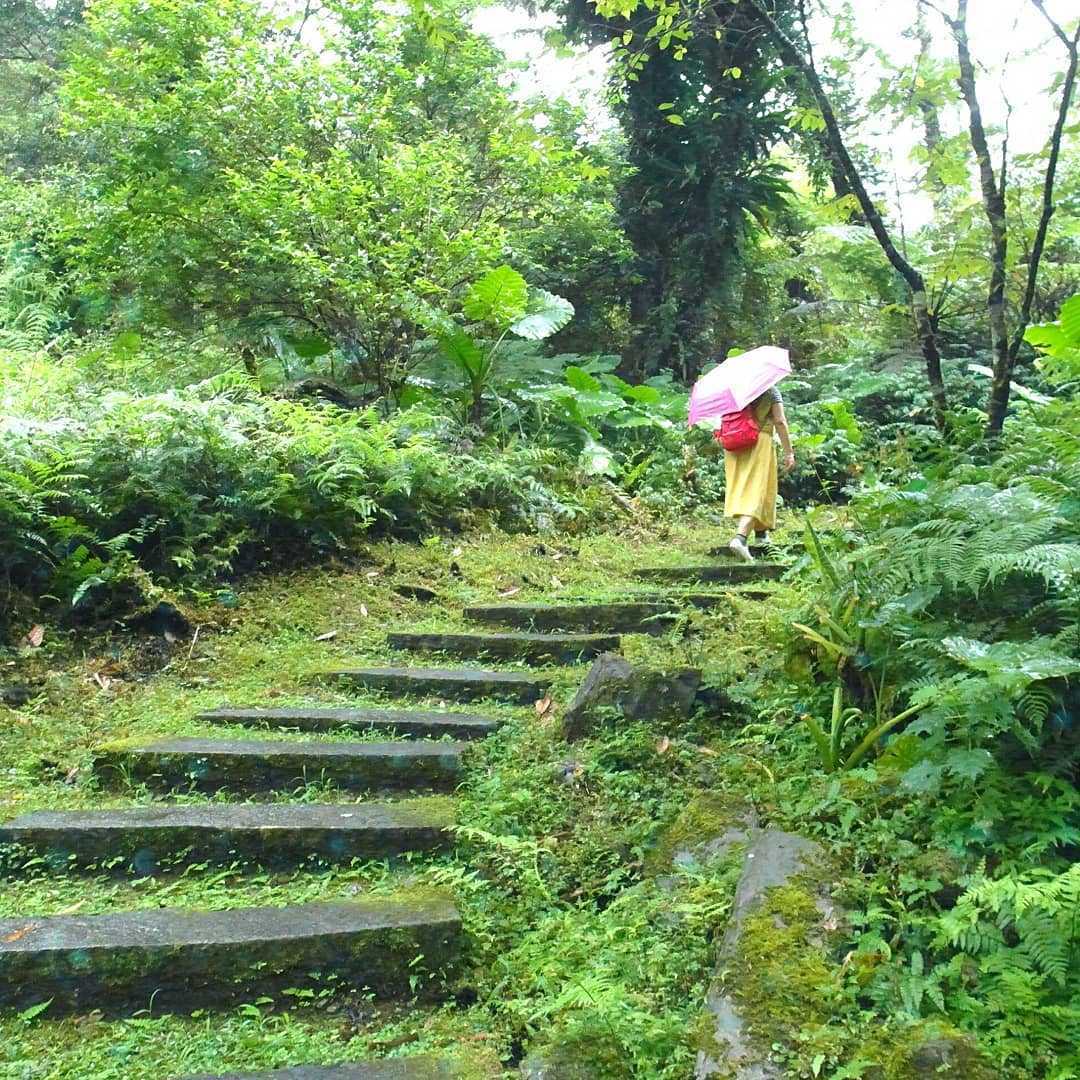 清水地熱 《 宜蘭鳩之澤溫泉 》太平山溫泉攻略!漫步太平山呼吸芬多精,煮溫泉蛋、泡湯金促咪,秋冬住宿輕旅行首選 清水地熱 2023 宜蘭鳩之澤溫泉 鳩之澤自然步道
