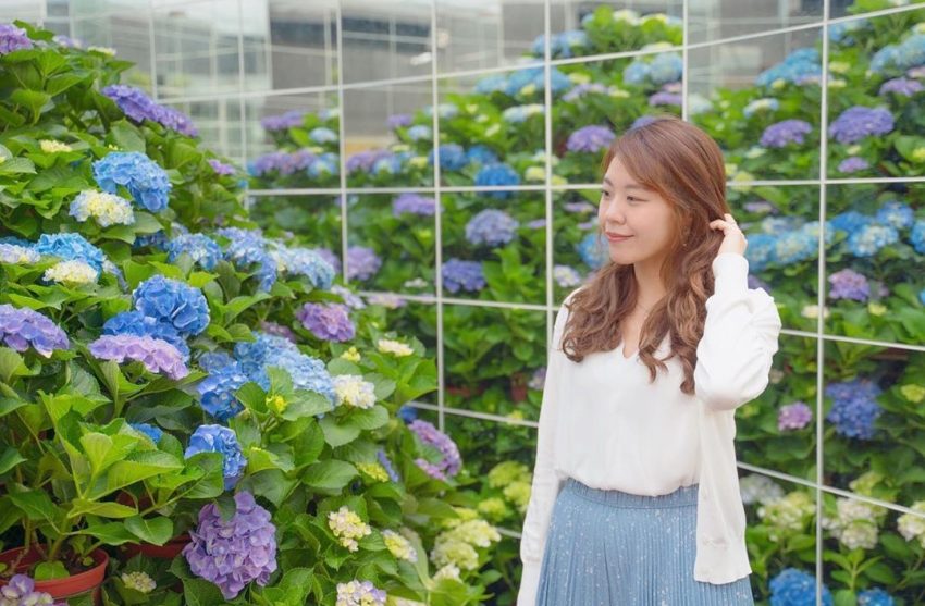 花露農場 苗栗卓蘭|花露農場 |全台首座精油博物館,沉浸在四季繽紛花海 享受午茶時光 花露農場 2023 花露農場 苗栗卓蘭|花露農場 |全台首座精油博物館,沉浸在四季繽紛花海 享受午茶時光 1 2023