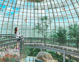 台灣玻璃館 【2022嘉義景點】超過18個必訪景點，適合嘉義一日遊、二日遊的好去處！ 12 2022