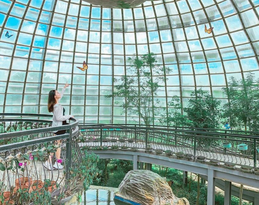 2021台灣設計展《周邊景點、嘉義美食》新嘉大昆蟲館