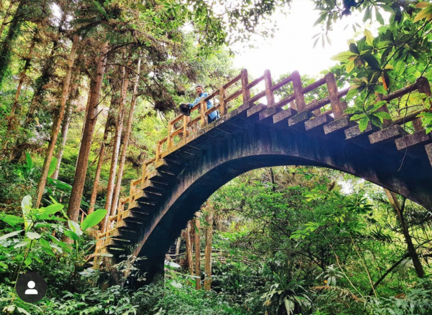 阿里山景點｜太平雲梯景點攻略，順遊５個必拍必玩IG打卡熱點，俯瞰雲嘉南平原，在雲海中漫步｜優惠票價攻略 3 2024