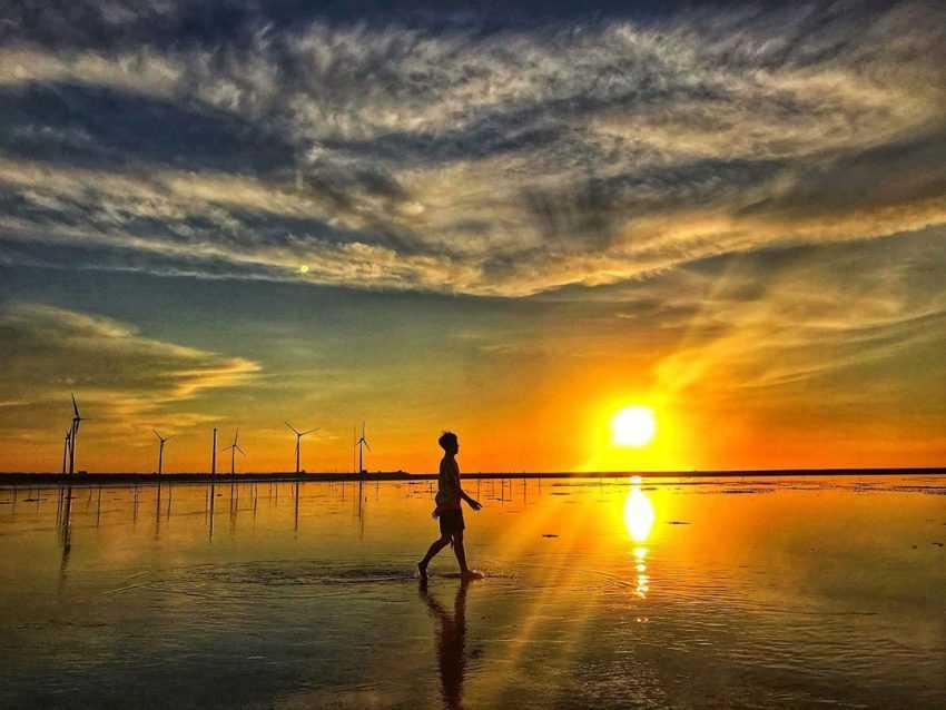 高美濕地 【高美濕地】濕地一日遊攻略、潮汐時間、木棧道美景、交通停車、周邊美食攻略 1 2024