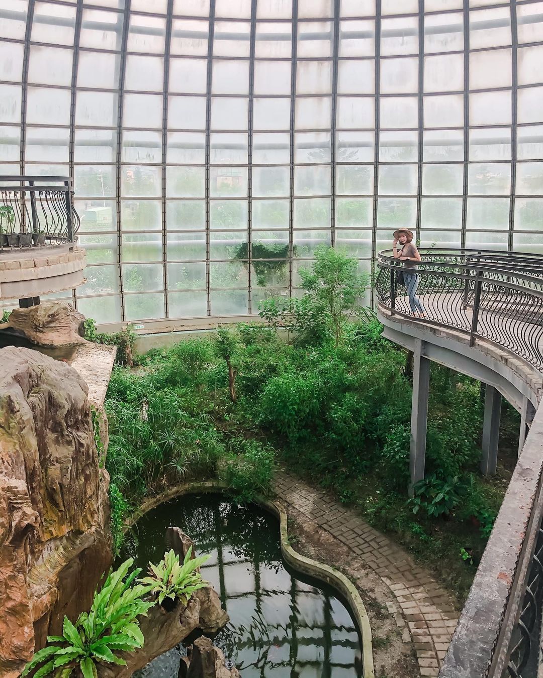 嘉義景點-新嘉大昆蟲館 嘉義景點-新嘉大昆蟲館