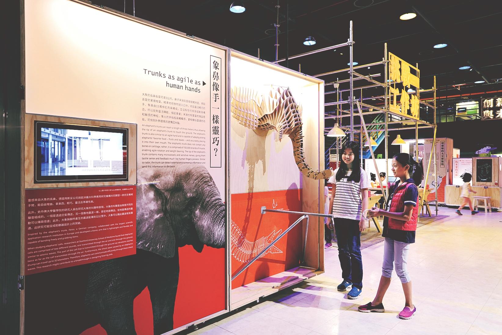 台北科教館展覽 台北科教館展覽｜玩雪地越野車、雙板滑雪，還有IG熱門拍照景點「空中之橋」，必看雪展、大樹屋體驗展、仿生展 14 2025