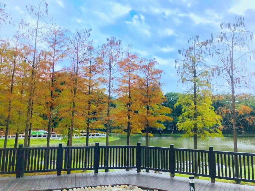 - 全台落羽松秘境 全台落羽松秘境|網羅台灣 12 處落羽松森林景點,2020秋冬來場浪漫的落羽松之旅吧! 2021 景點, ▸南投景點, ▸旅遊情報 全台, 搶先看, 景點, 秋冬, 秘境, 落羽松 2021