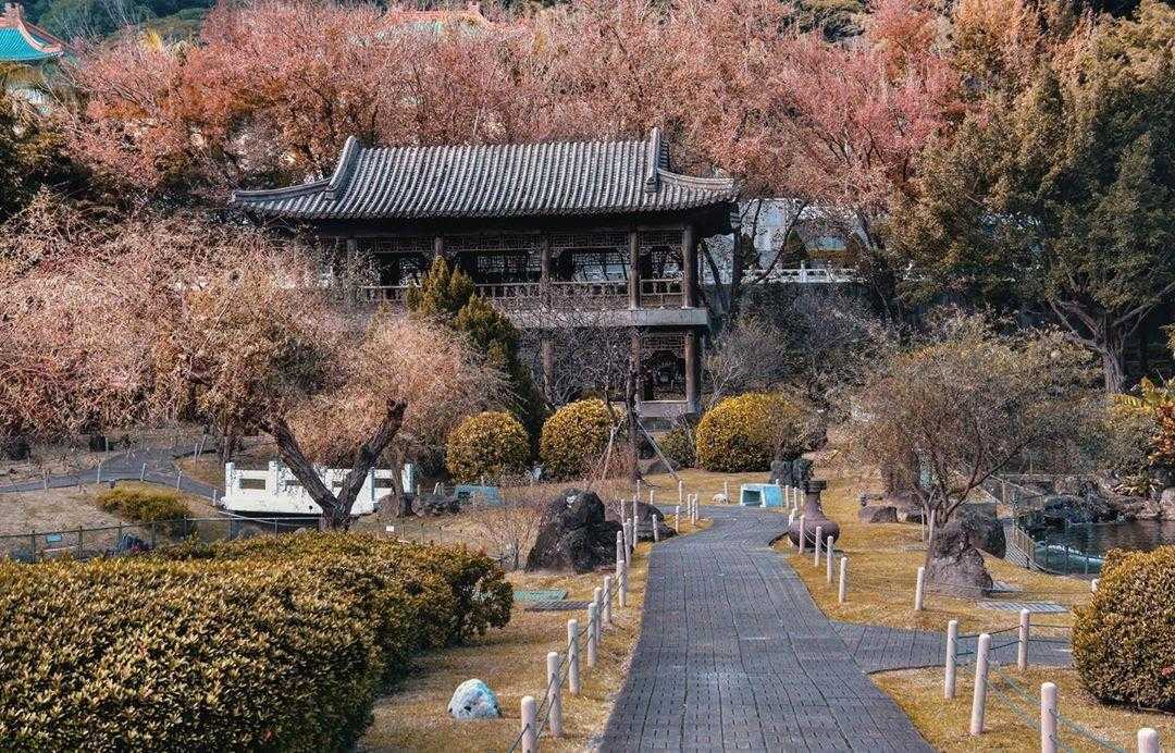 博物館拍照景點 故宮博物院 至善園